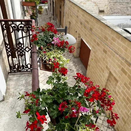 Zephir * Brindisi