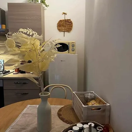 Zephir Bríndisi
