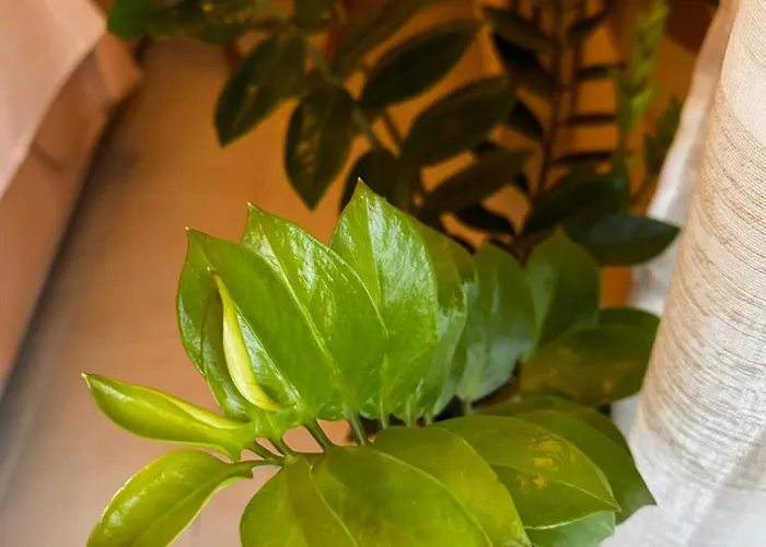 Holiday home Zephir *