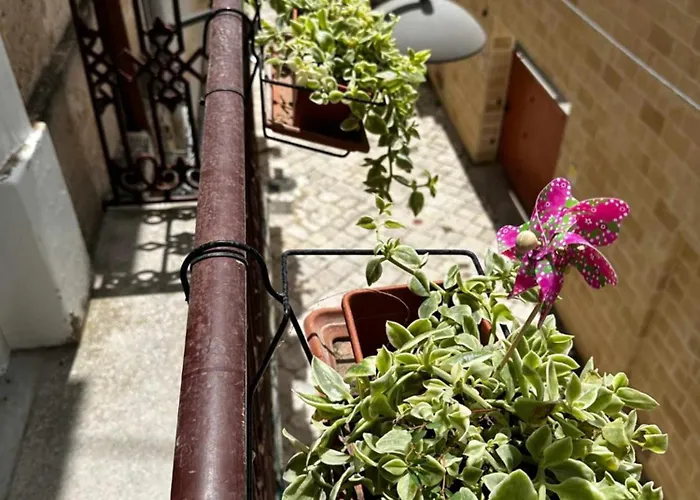 Zephir Holiday home *